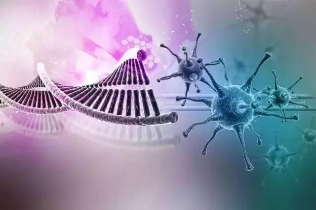基因檢測(cè) 定義、意義與適用人群